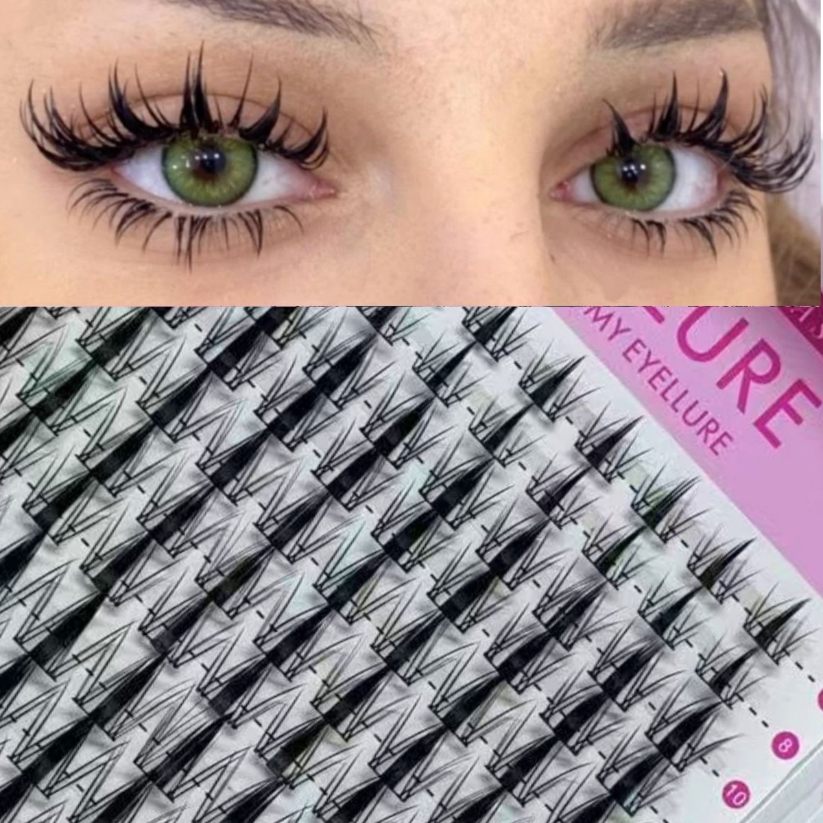 WINKLURE Manga Lash Clusters K – Lash Tray Organizer Bewertung und Preis