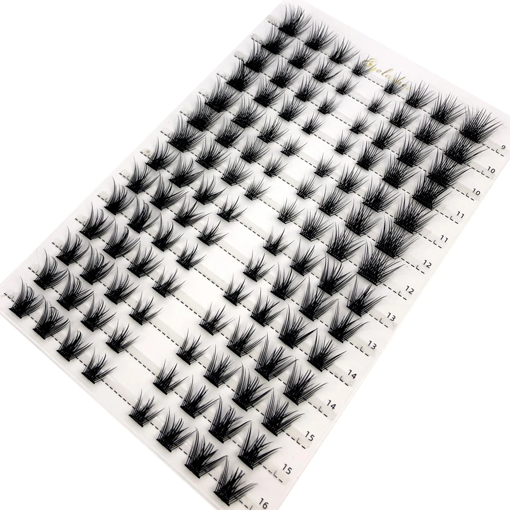 Einzelne Cluster-Wimpernverlän – Eyelash Extension Single Lash Bewertung und Preis