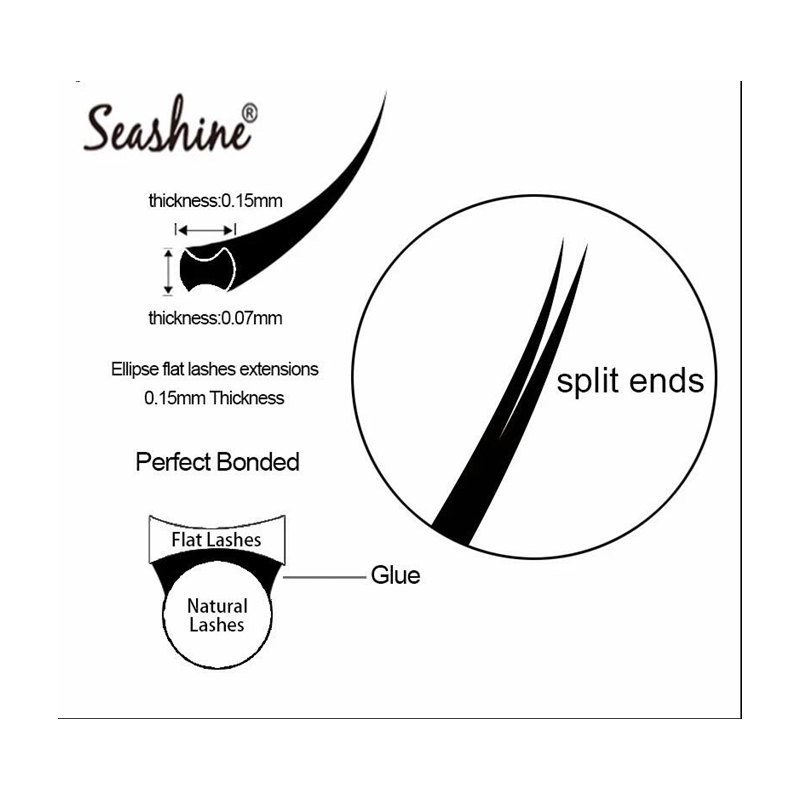 Seashine Ellipse Flache Wimper – Lash Tray Organizer Bewertung und Preis