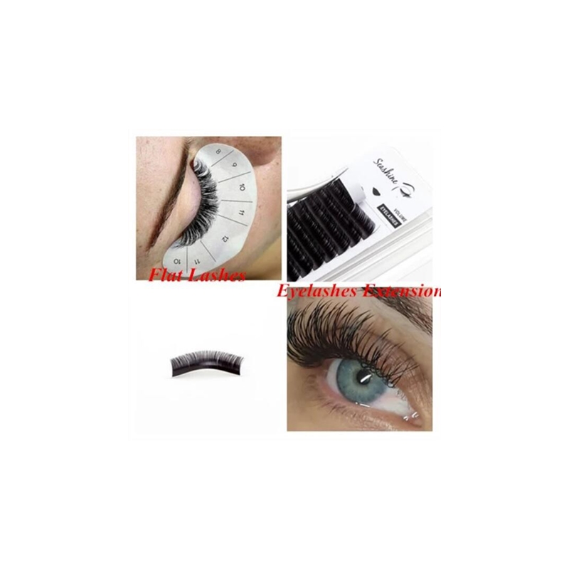 Seashine Ellipse Flache Wimper – Lash Tray Organizer Bewertung und Preis